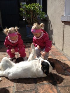 Bo the rescue dog with young guests