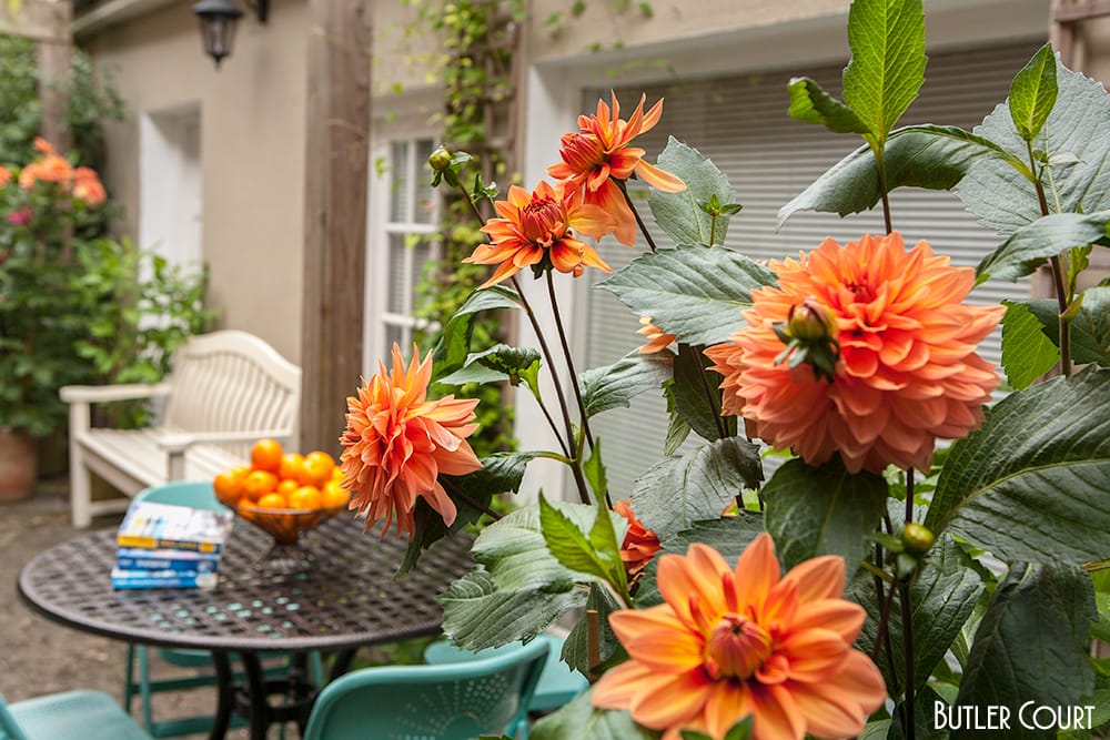 Flower-filled courtyard at Butler Court