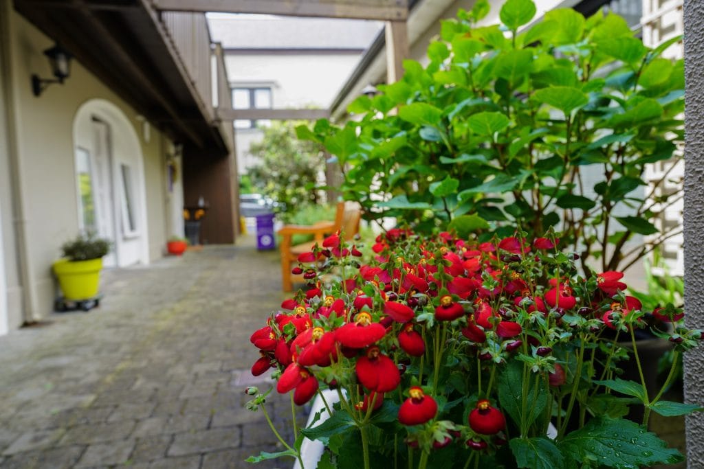 Geraniums along the courtyard rooms