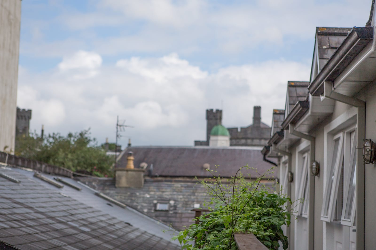 Rooftops of Kilkenny towards the Castle